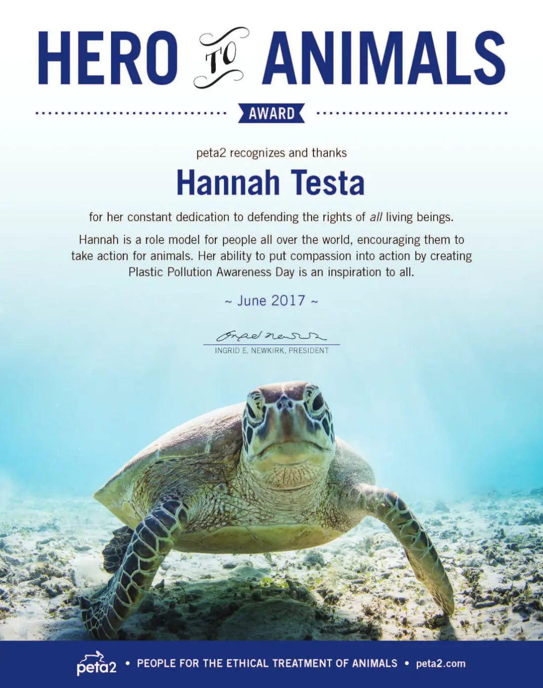 p2_Hero-to-Animals_Cert_Hannah_Testa_r2_300-1100x1394 Community Spotlight: Hannah Testa